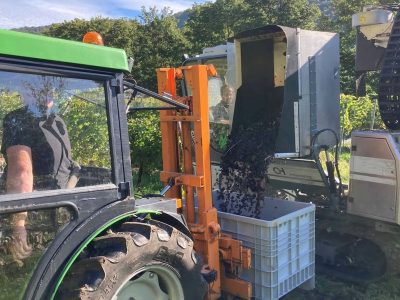 weingut-fries-farm-4